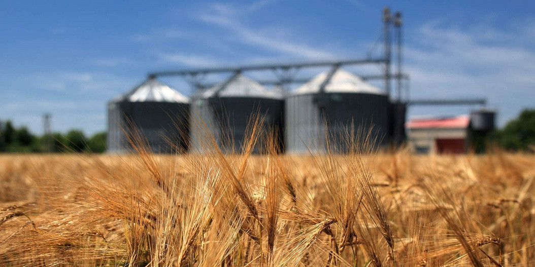 Не втратити - значить знайти: зберегти вирощене зерно допоможе бізнес-план організації елеваторного комплексу в Україні